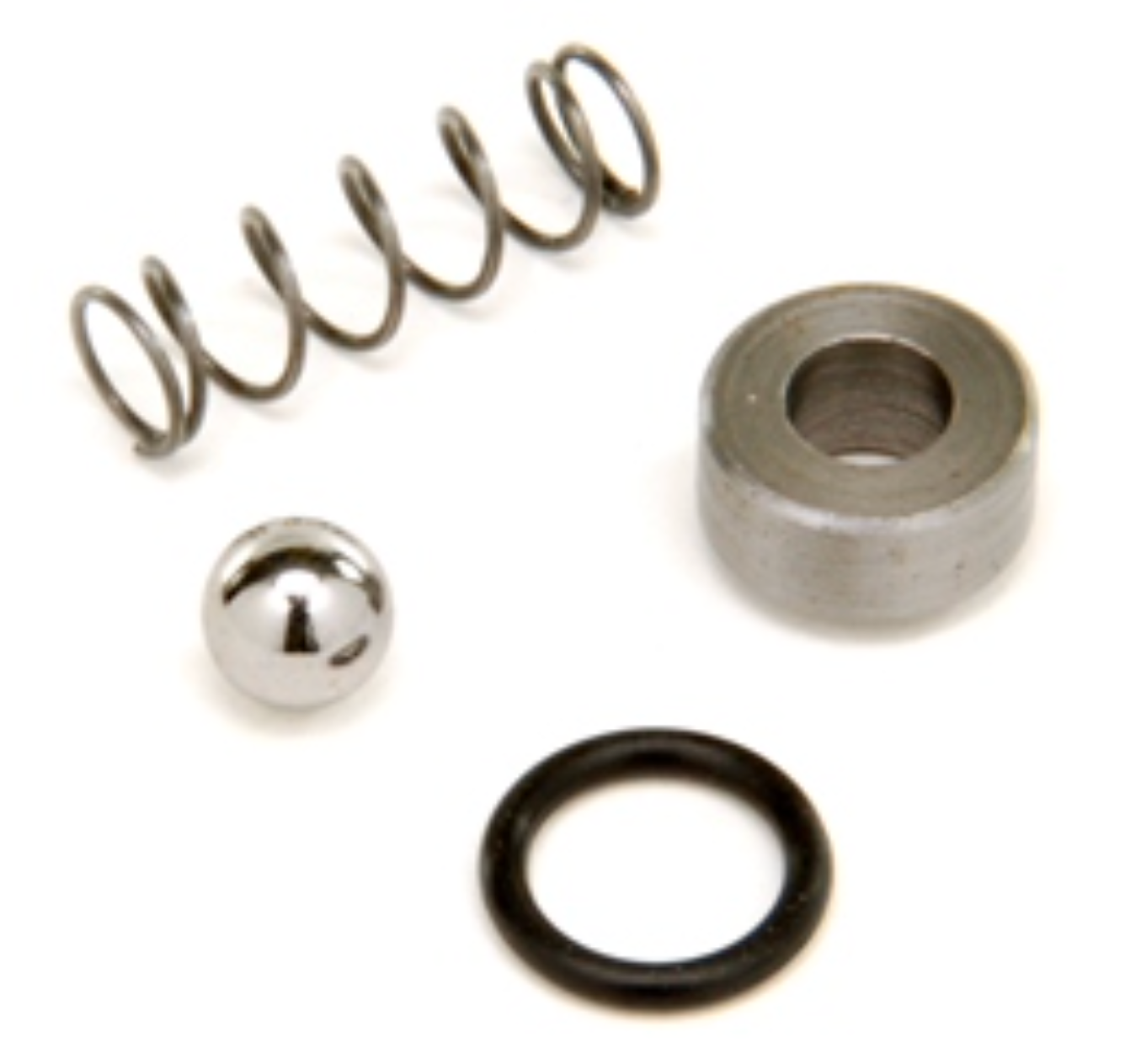 15574 PUMP CHECK VALVE KIT