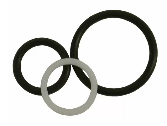 15431 O-RING 2 WAY SOLENOID KIT